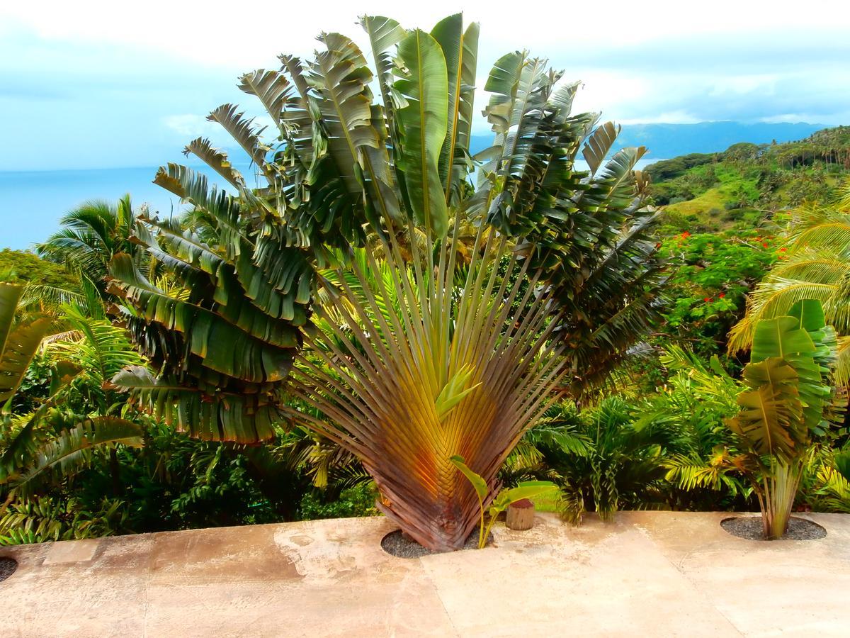 Korovesi Sunshine Villas Savusavu Exterior foto